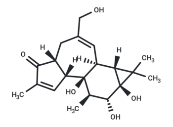 4-Deoxy-4α-phorbol