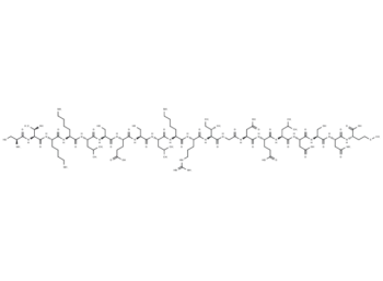 Bax BH3 peptide (55-74), wild type
