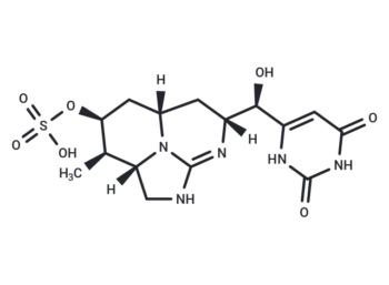 Cylindrospermopsin