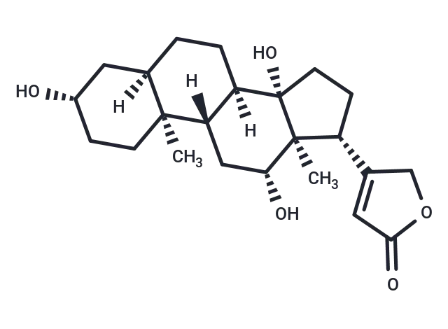 Digoxigenin Digoxigenin