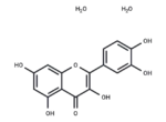 Quercetin Dihydrate