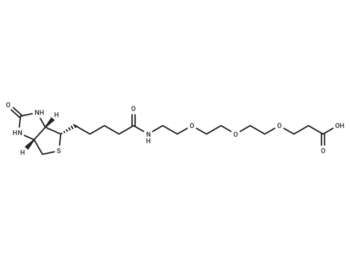 Biotin-PEG3-acid