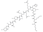Autocamtide-3