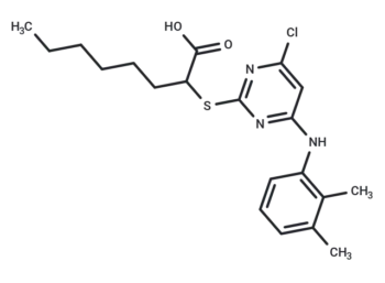 YS-121