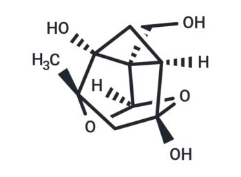 Debenzoylpaeoniflorgenin