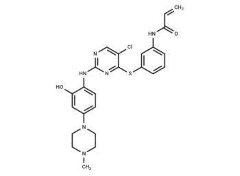 WZ8040-hydroxy