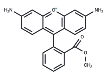 Rhodamine 123 free base