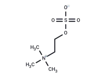 Cholinesulfuric acid.