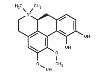 Fuzitine