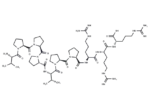 Ras Inhibitory Peptide