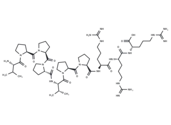 Ras Inhibitory Peptide