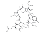 Nostopeptin B