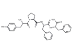 Endomorphin 2