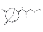 β-Lactamase-IN-8
