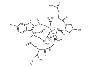 γ-Amanitin