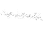 Neuropeptide Y (18-36) (porcine)