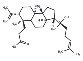 Dammarenolic acid