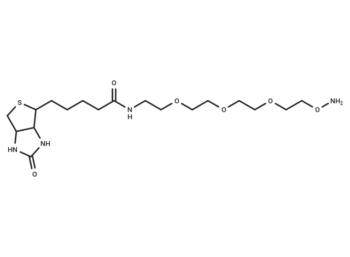 Biotin-PEG3-oxyamine