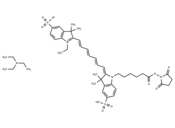 CY7-SE Triethylamine (477908-53-5(free acid) )