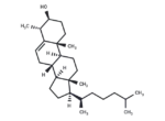 4α-Methylcholesterol