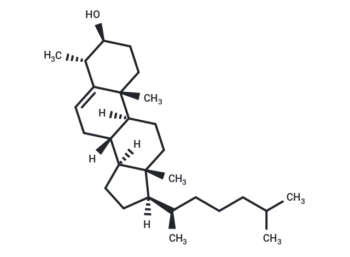 4α-Methylcholesterol
