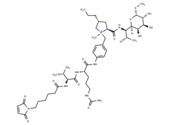 MC-Val-Cit-PAB-clindamycin