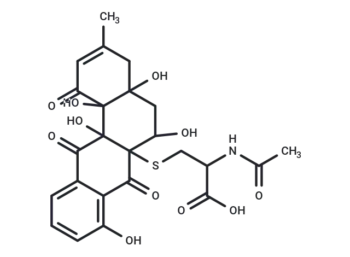 WS 009B