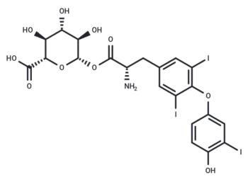 T3 Acyl glucuronide
