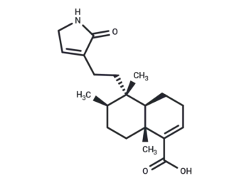Echinophyllin C