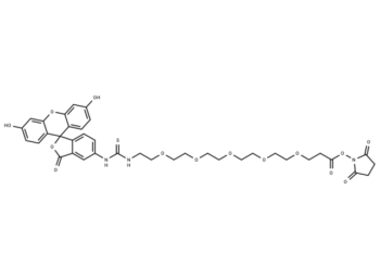 Fluorescein-PEG5-NHS ester