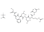 TRAP-6 amide TFA