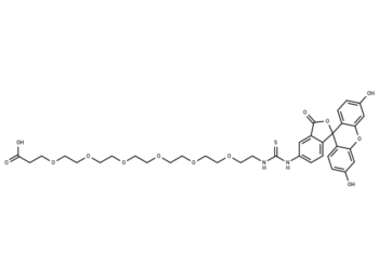 Fluorescein-thiourea-PEG6-acid