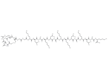 Tumor targeted pro-apoptotic peptide