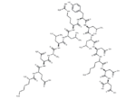 Transcriptional Intermediary Factor 2 (TIF2) (740-753)