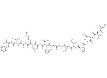 CMV pp65(13-27)