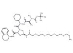 A 410099.1 amide-PEG4-amine
