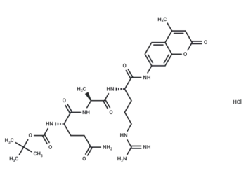 Boc-Gln-Ala-Arg-AMC hydrochloride