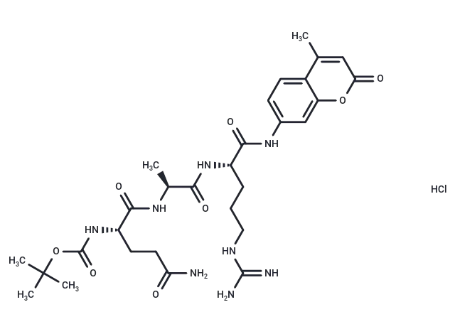Boc-Gln-Ala-Arg-AMC hydrochloride CgoaEWY7QPyERmL9AAAAAJ1Tqro617- Immunomart