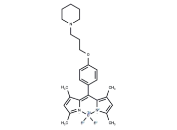 Bodilisant