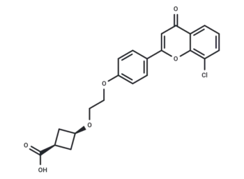 cis-ccc_R08