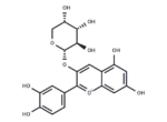 Cyanidin 3-O-arabinoside 1 Cyanidin 3-O-arabinoside