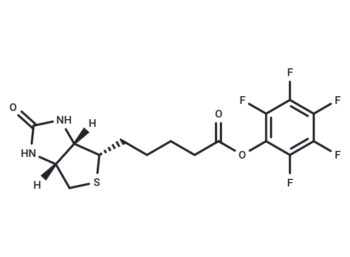 Biotin-PFP ester