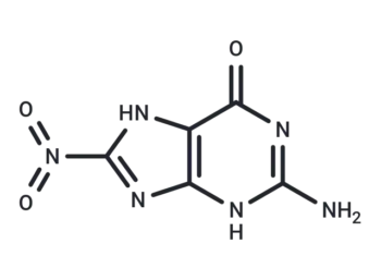 8-Nitroguanine