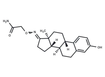 Estrone-N-O-C1-amido