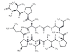 Griselimycin