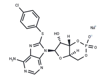 8-CPT-Cyclic AMP (sodium salt)