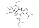12-O-Tiglylphorbol-13 –isobutyrate 1 12-O-Tiglylphorbol-13 –isobutyrate