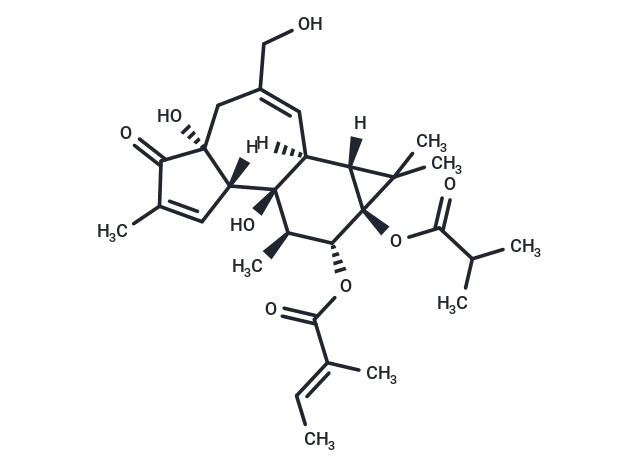12-O-Tiglylphorbol-13 –isobutyrate 12-O-Tiglylphorbol-13 –isobutyrate