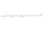 Amylin (8-37) (human)