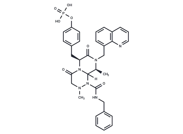 β-catenin/CBP-IN-1 CgoaEWY7QdWEUWAtAAAAAAyVfPM522- Immunomart